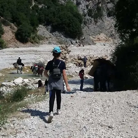 Buronja-kuc Vlore *